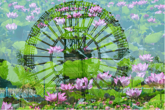 ´ó½±¹ú¼Ê(ÖйúÇø)¡¤¹Ù·½ÍøÕ¾